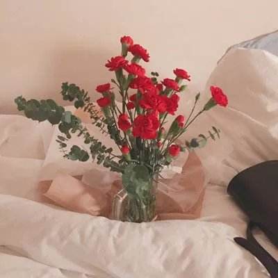 NG体育·(南宫)官方网站